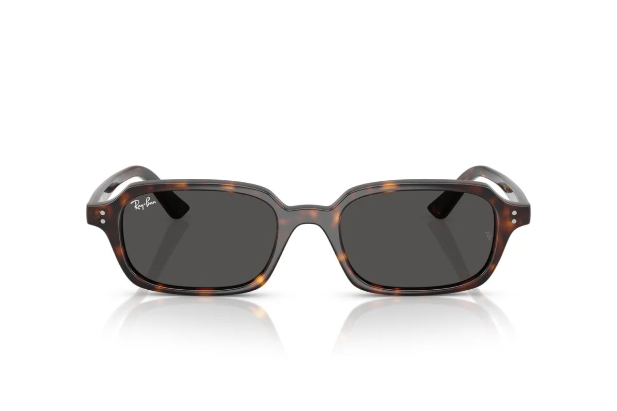 Ray-Ban ZURI RB4455 135987