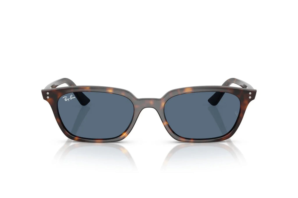 Ray-Ban Zaya RB 4456 135980