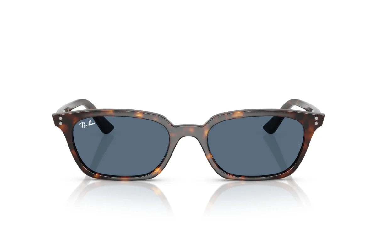 Ray-Ban Zaya RB 4456 135980
