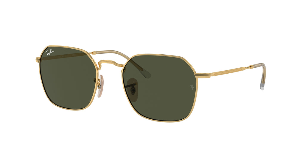 Ray-Ban RB3694 JIM 001/31
