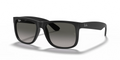 Ray-Ban RB4165 Justin Classic