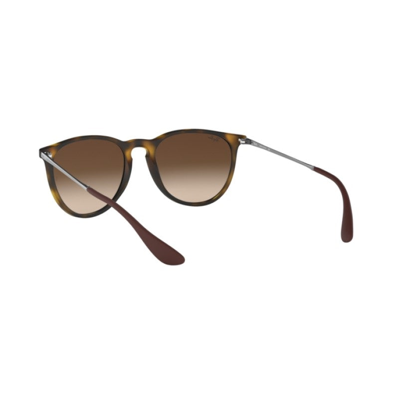 Ray-Ban RB 4171 Erika 865/13